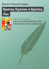 Братик Кролик та Братик Лис