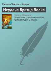 Невдача Братика Вовка