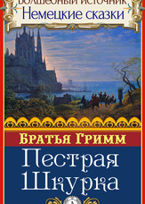 Чарівне джерело. Німецькі казки. Пістрява Шкурка