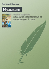 Музика