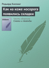 Як на шкірі носорога з'явилися складки